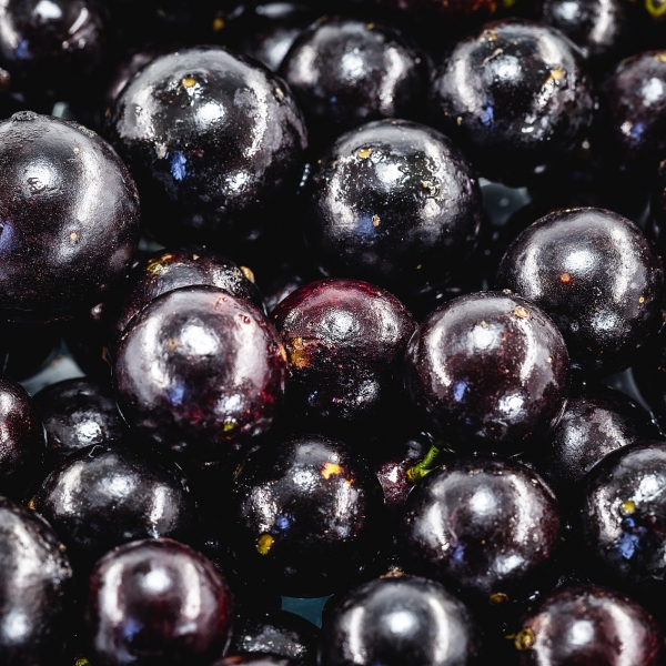Acai Berry Extract Acai Berry Extract