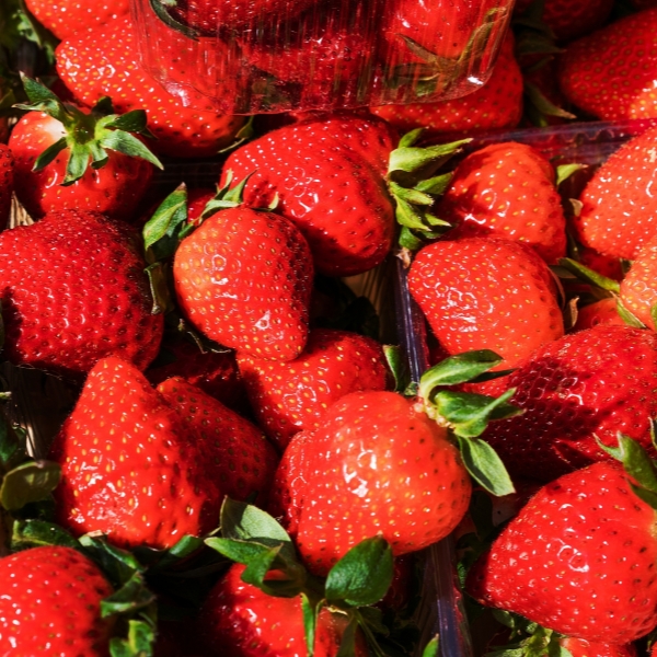 L-carnosine L-carnosine