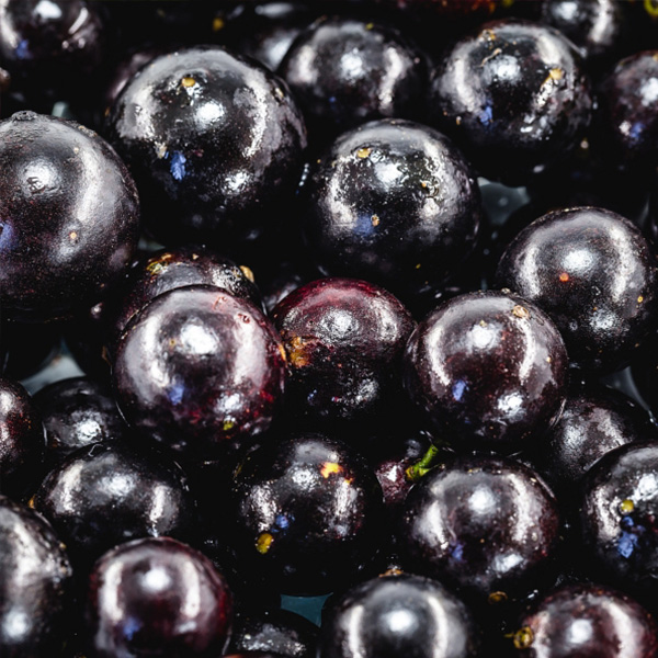 Acai Berry Powder Acai Berry Powder